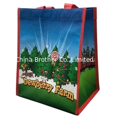 China 100% Recycled PP-Woven Polypropylene Laminated Shopping Bag supplier