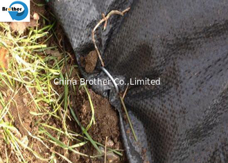 China Wholesale PP Ground Cover/ Weed Barrier Fabric Made in China Cnbm supplier