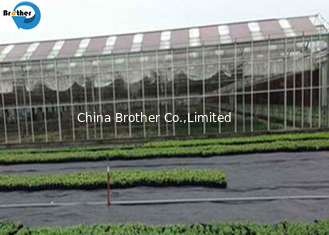 China UV Treated Agricultural 3.2m Woven Plastic Weed Control Mat Ground Cover Barrier Fabric Sheet supplier