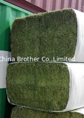 China High Strength Woven Polypropylene Hay Bale Wrapping Fabric supplier