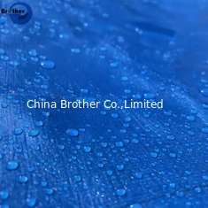 China 10x10 Tarp PE Heavy Duty Poly Tarps 20 Mil supplier