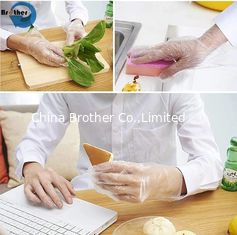 Polythene Food Gloves, Hand Gloves Disposable, Plain Hand Gloves, Classic Gloves, Gloves PVC, Customisable Gloves