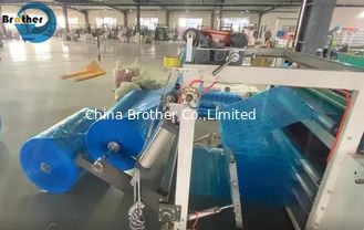 Custom PE Plastic Liner Big Size LDPE Roll or Bags 6 Mil Polyethylene Plastic Sheeting Made From China