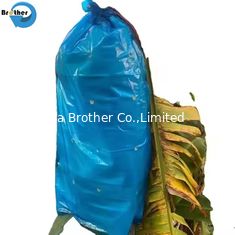 China Factory Direct Wholesale Blue Perforated Polyethylene Plastic Protection Banana Bunch Cover