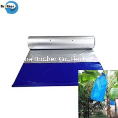 Perforated Polyethylene Banana Bunch Protection Bag