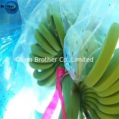 Hot Sale Agricultural Biodegradable HDPE Material Blue Perforated Polyethylene Banana Protection Bag
