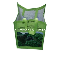 China Recycled Laminated Non Woven Promotional PP Woven Shopping Bag supplier