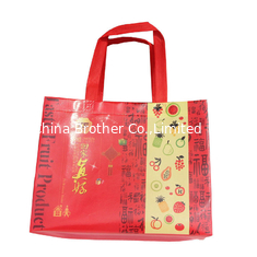 China Customized PP Shopping Non Woven Bag supplier