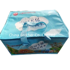China Custom PP Woven Bag, Laminated Non Woven Bag, Shopping Bags supplier