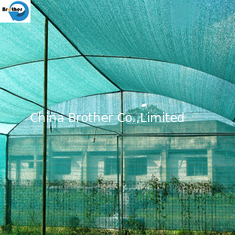 China 4X50m Roll 80% Green Shade Net for Greenhouse, Hot Sale Sun Shading Net/Sun Shade Net Price/Agricultural Shade Net supplier