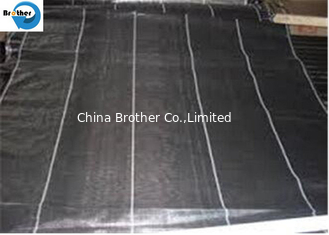 China Polypropylene Woven Geotextile Weed Control Mat Ground Cover Weed Fabric supplier