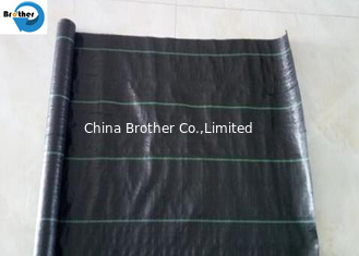 China Black PP Ground Cover/ Black Weed Control Mat/Landscape Fabric supplier