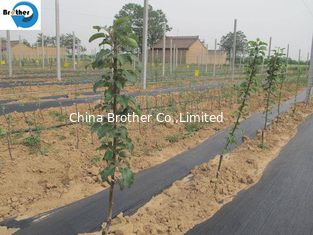 China Farming Plastic PP Ground Cover Weed Control Mat Ground Cover Fabric supplier