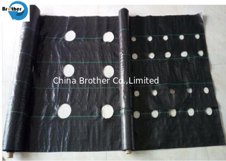 China Hot Sale Weed Control Fabric Agriculture Plastic Ground Cover Fabric for Vegetable supplier