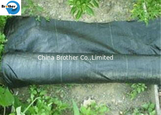 China Wholesale Customized Nonwoven 100% PP Nonwoven Fabric for Agriculture Weed Control supplier