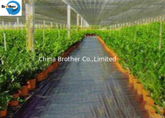 China Black/Green/White PP/PE/Plastic Woven Weed Control Geotextile/Fabric for Agriculture/Garden/Landscape supplier
