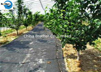 China Garden Use Woven Weed Mat Plant Nursery Ground Cover Weed Control Mat PP Landscaping Fabric supplier