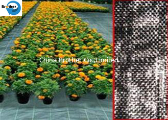 China China Wholesale Customized UV Black Weed Control Landscape Fabric supplier