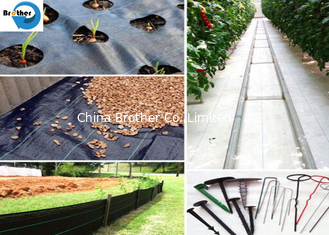 China Black/Green/White PP/PE/Plastic Woven Weed Control Mat/Fabric for Agriculture/Garden/Landscape supplier