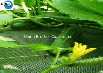 China China Factory Supply PP Woven Weed Weed Control Membrane Fabric supplier