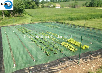 China UV Treated Agriculture Weed Control Mat Black Plastic Mulch Ground Cover Weed Barrier Fabric Anti Grass supplier