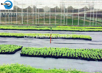 China Weed Control Membrane Hot Film Black Weed Mat Plant Nursery Anti Grass Cloth UV Treatment Agricultural Ground Cover supplier