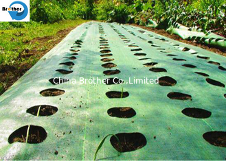 China Agriculture Weed Control Fabric Mat Woven Stabilization PP Geotextile Silt Fence Fabric supplier