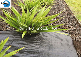 China High Quality UV Treated Gardening Flower Weed Control Ground Cover Woven Fabric supplier