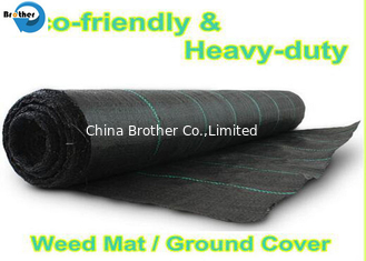 China Agricultural Plastic Products Ground Cover/Weed Control Cover Fabric/Silt Fence Fabric supplier