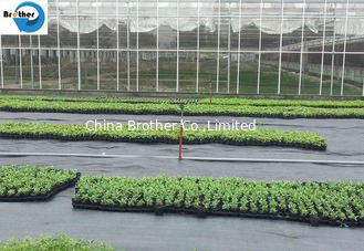 China 100GSM Woven Geotextile Weed Control Ground Cover Fabric/Polypropylene Weed Control supplier