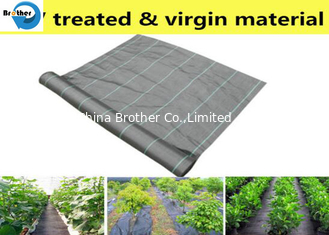 China 100% Anti-UV Green PP Weed Control Mat Ground Cover Barrier Landscape Fabric supplier
