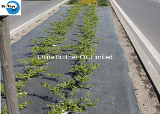China Agricultural Ground Cover Supplier Commercial Landscape Fabric Anti Weed Matting supplier