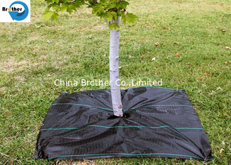 China Black PP Ground Cover Weed Control Mat Landscape Fabric with Green Strip 100GSM supplier