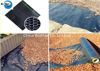 China PP Slit Film Woven Weed Control Ground Cover Membrane Landscape Fabric supplier