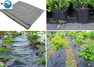 China Heavy Duty Weed Control Fabric Membrane Garden Ground Cover Mat Landscape Sheet supplier