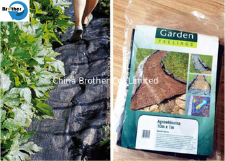 China High Quality Agricultural PP Woven Ground Cover Weed Control Fabric supplier