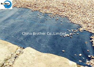 China Professional PP Ground Cover/Weed Control Fabric Manufacturer supplier