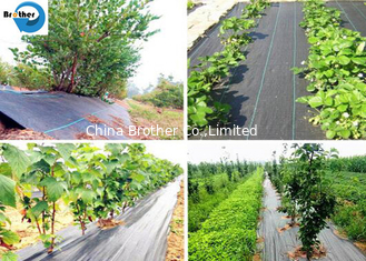 China Hot Sale Weed Barrier Garden Ground Cover Anti-UV Weed Control Fabric supplier