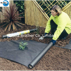 China Agriculture PP Woven Plastic Low Price Weed Control Weed Mat Ground Cover Landscape Fabric supplier