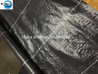 China Weedmat /Weed Control Fabric /PP Woven Ground Cover /Ground Cover Fabric with UV supplier