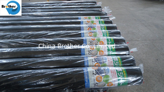 China Black Mulch Mat, Landscape Fabric, Membrance Ground Cover, Weed Control Fabric supplier