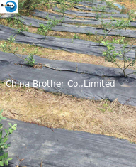 China Agriculture PP Ground Cover/Weed Control Fabric/Landscape Fabric Supplier supplier