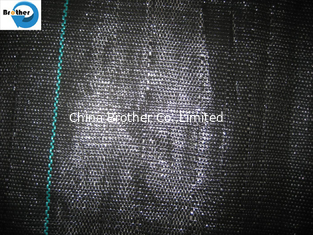 China 100% Anti Grass PP Woven Weed Control Cloth, Agro Plant Ground Cover Landscape Fabric supplier