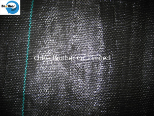 China 100% Anti Grass PP Woven Weed Control Cloth, Agro Plant Ground Cover Landscape Fabric supplier