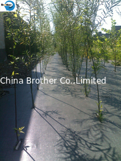 China Woven Anti Mat Weed Control Landscape Fabric Ground Cover Plastic Mulch Film supplier