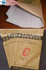 China 25kg Logo Print 2 Ply Kraft Paper Laminated PP Woven Valve Cement Bag supplier