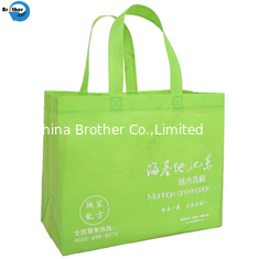 China PP Woven Non Woven Shopping Tote Handbags, Cooler Bag, Woven Bag, Cotton Bag, Canvas Bag, Drawstring Bag supplier