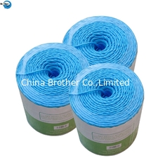 China Factory Direct Sale Uv-treated Polypropylene Baler Twine Square Baler Twine Hay Baler Twine supplier