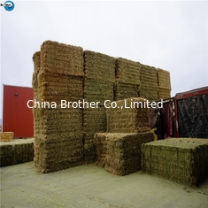 China Wholesale Plastic PP Hay Baler Rope 100% Polypropylene Baler Twine For Sale supplier