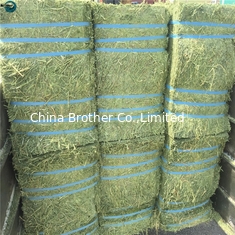 China High Quality White/Blue/Colorious PP/PE Tensile Strength Strapping Rope for Loading and Unloading supplier
